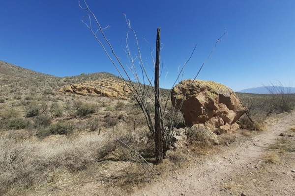 Horseshoe tank trail