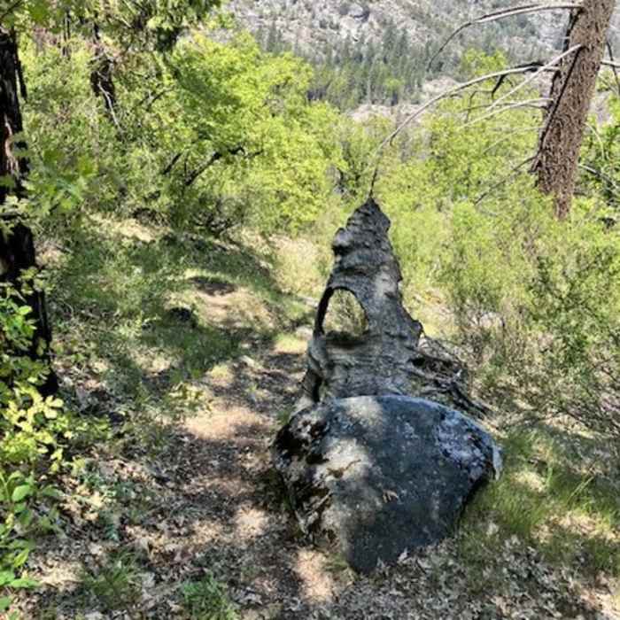 Near Poopenaut Valley Trail
