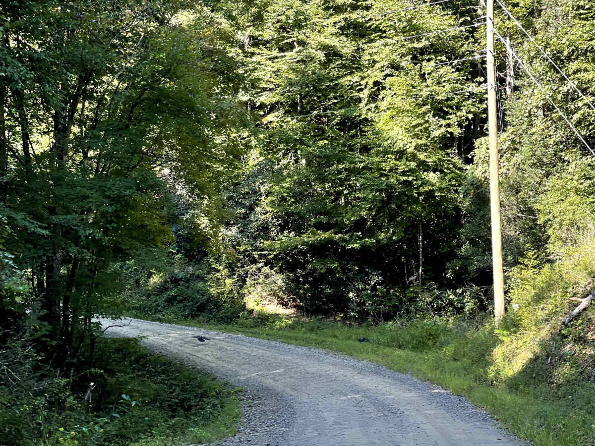 Caldwell Line Road photo 3