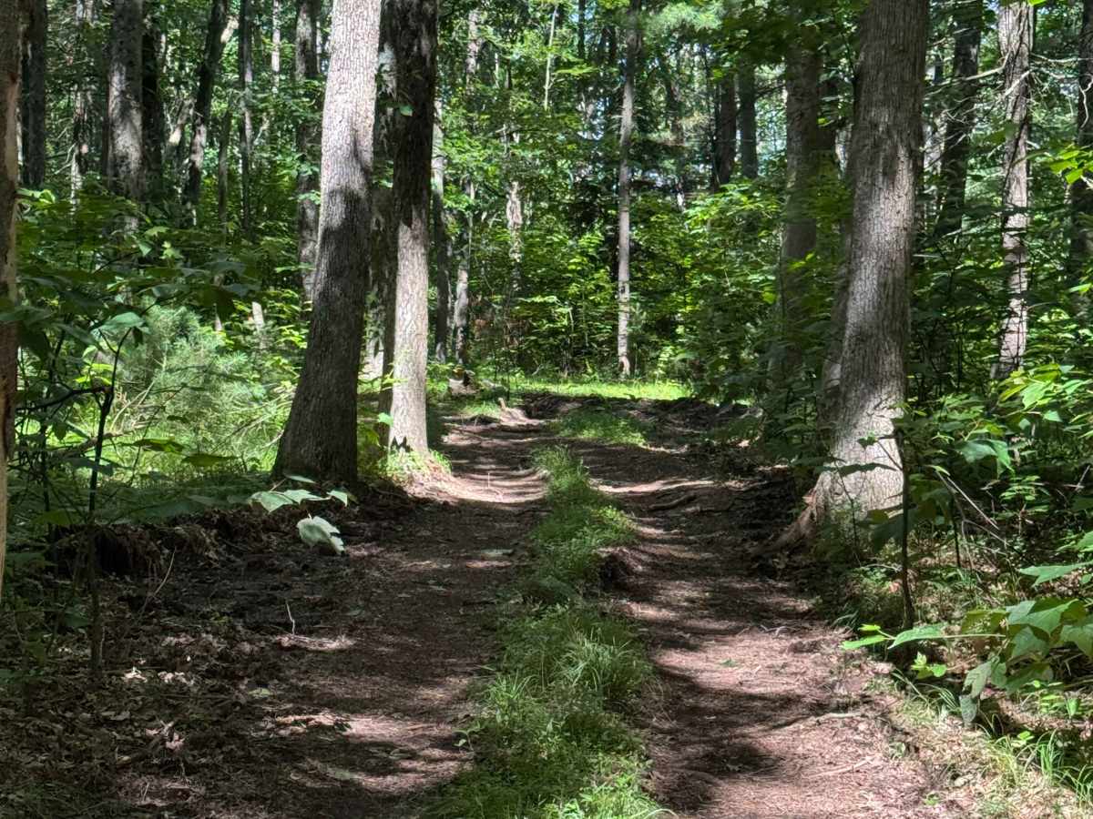 Bail-Out Trail photo 6