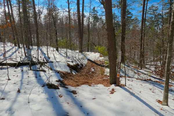 Sutton Bluff ATV 17 - SB 17