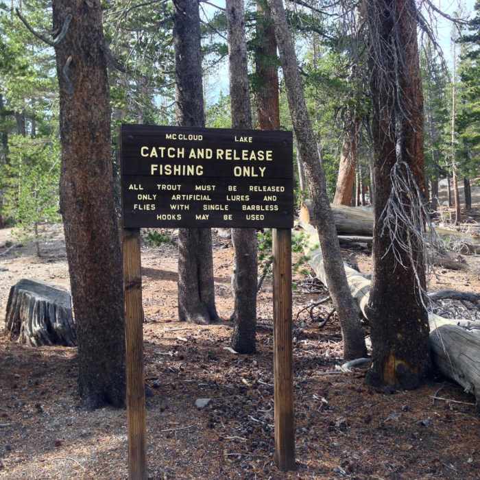 Near McLeod Lake Trail