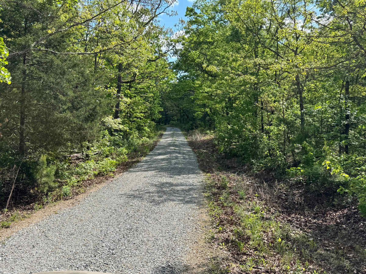 Hamilton Ridge trail photo