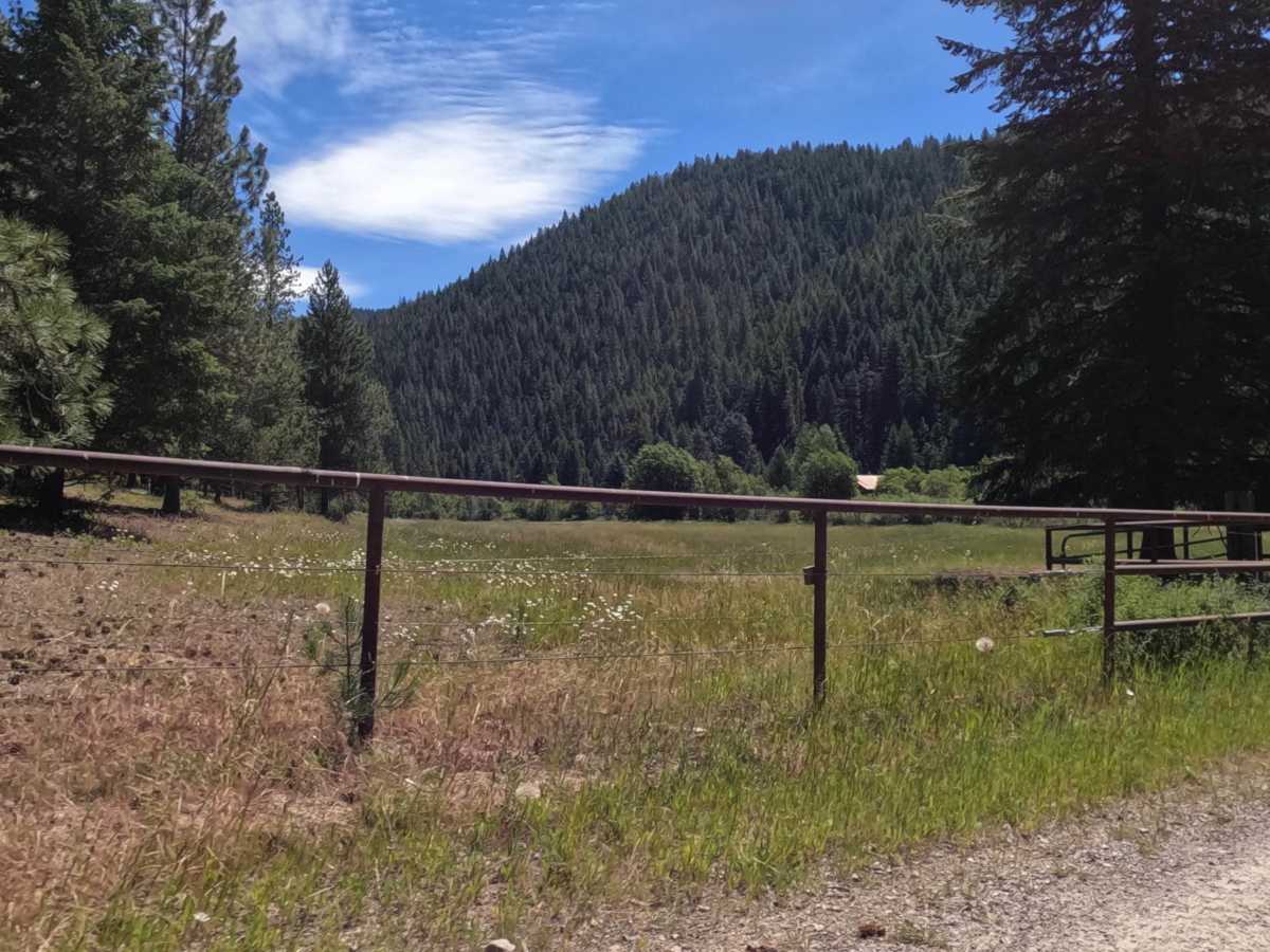 South Fish Creek - FS 343 photo 3