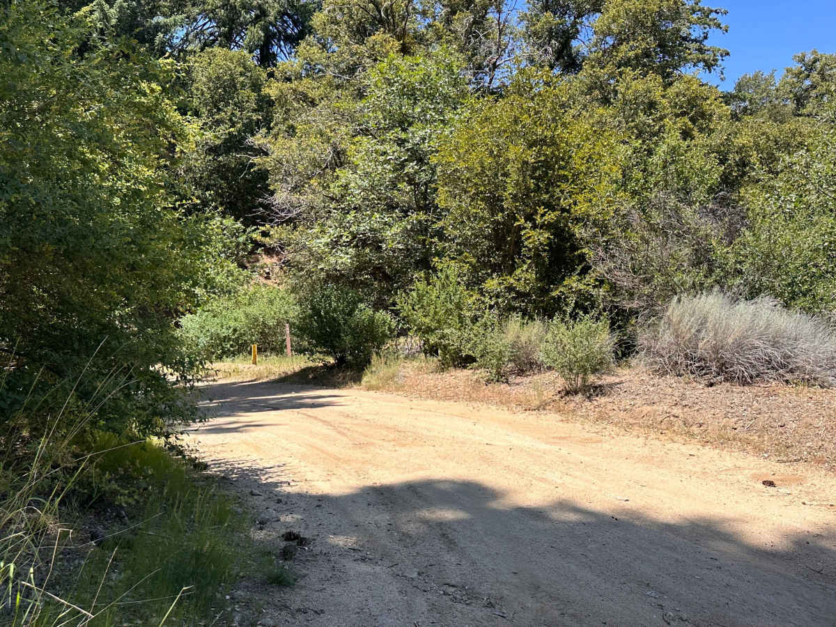 Firebreak Trail trail photo