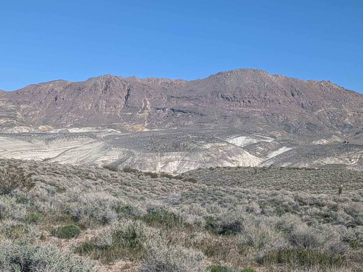 BLM SE781 photo 6