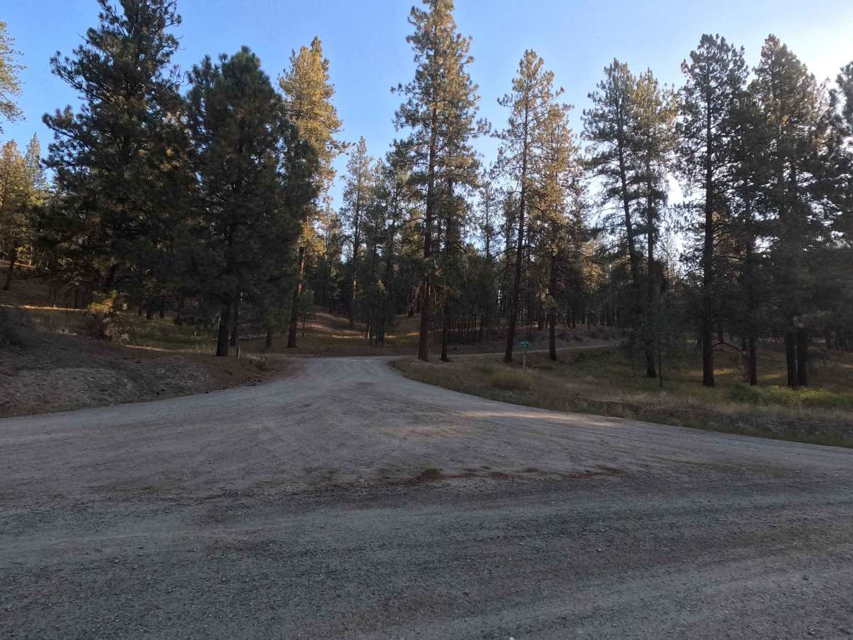 Narcisse Creek Road trail photo