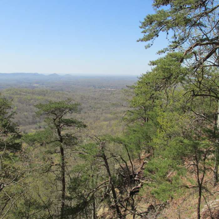 View from the top of Pilot Knob Trail - Overlooking the Bluegrass Region Near Pilot Knob Trail