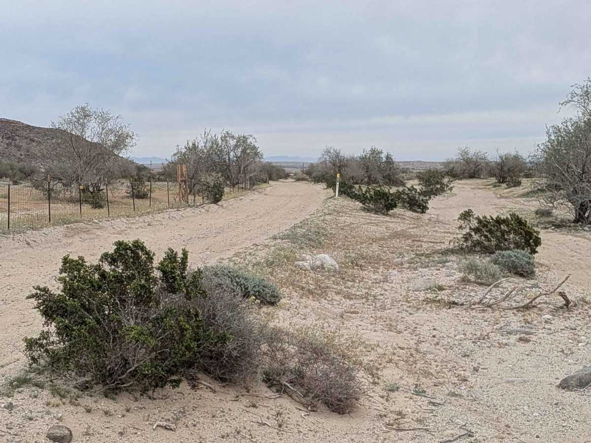 Quarry Road photo 2