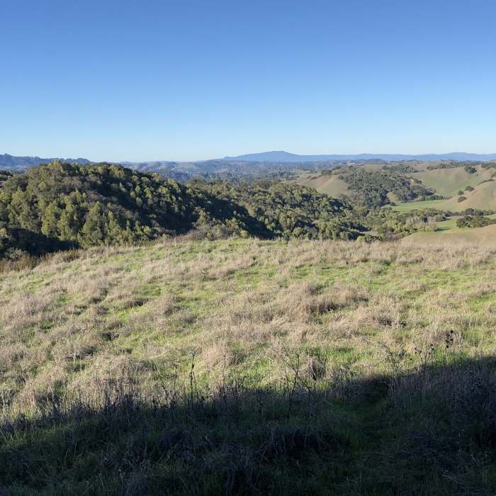Near 10k Loop at Briones