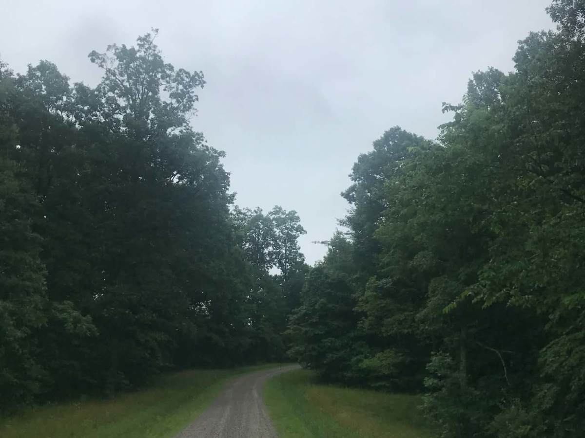 Township Road 232 trail photo