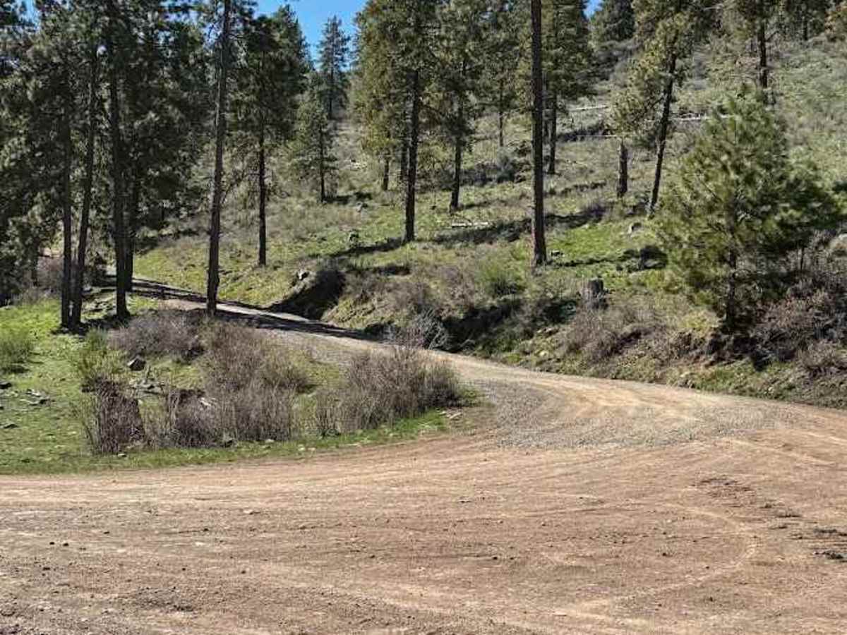 Tyee Road photo 4