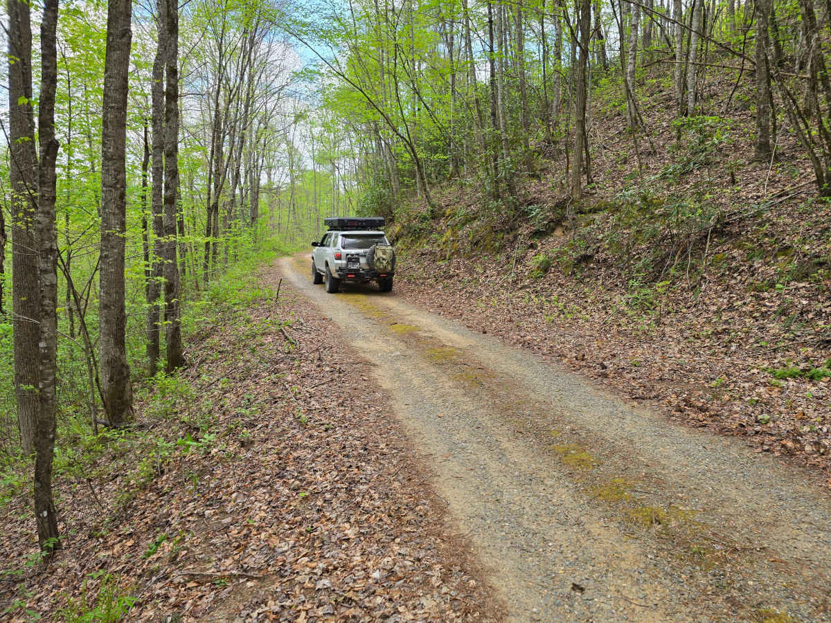 Farley Cove - FS 407 photo 4