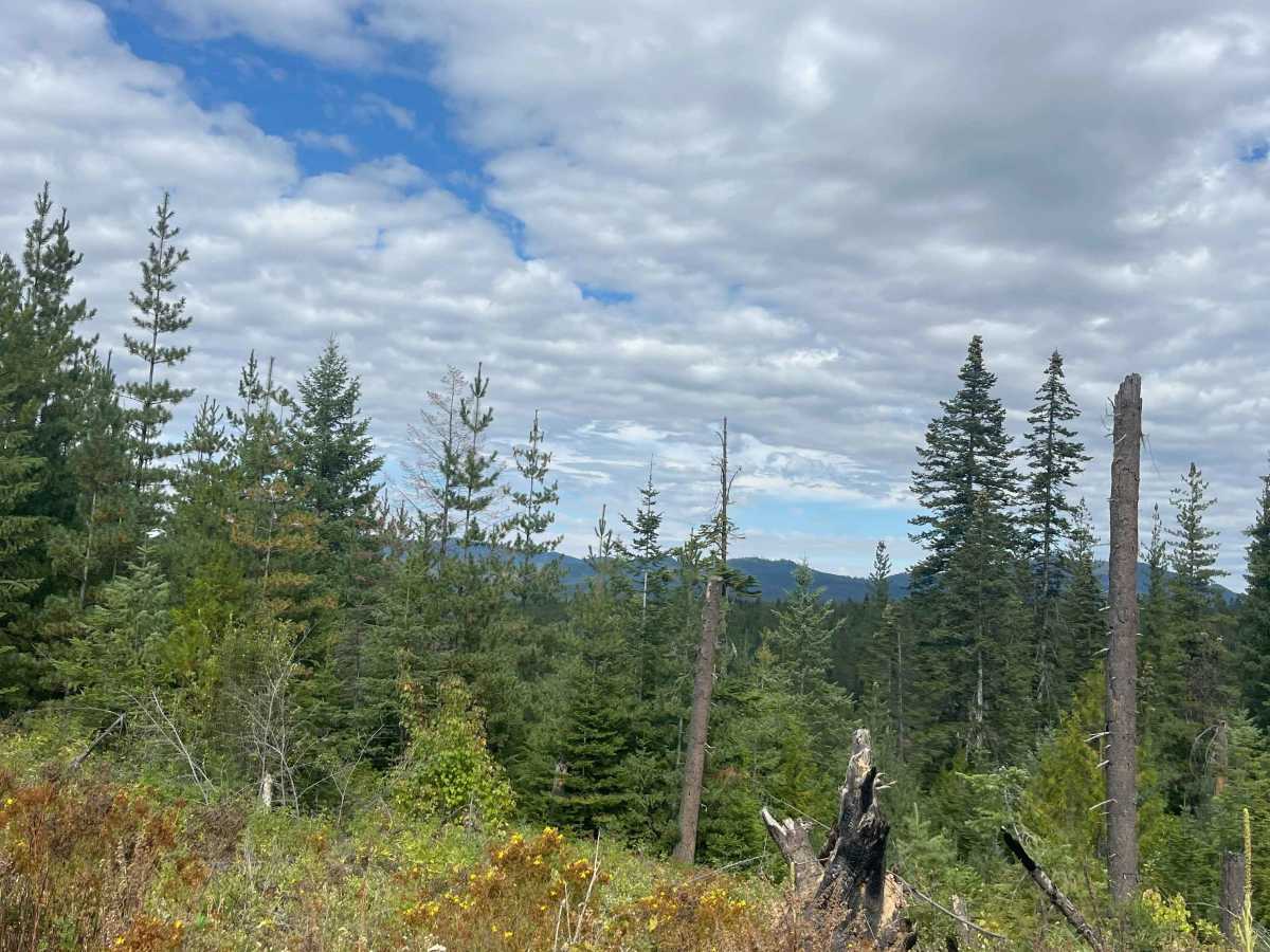 Lake Overlook Track photo 4