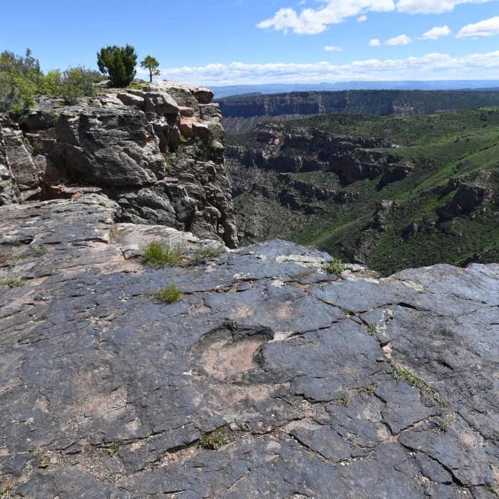 Dinosaur track near cliff edge Near Kokopelli Trail