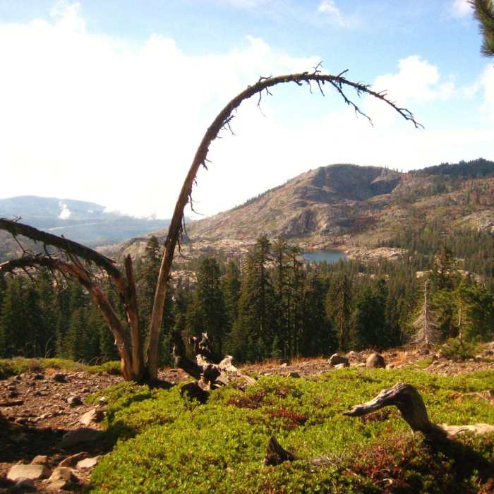 Near Grouse Ridge Trail