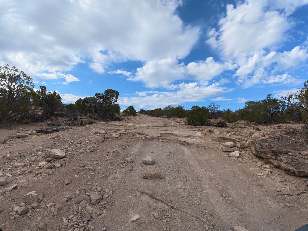 BLM 31 photo 4
