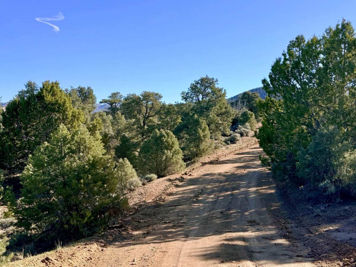 Crow Canyon - FS 43242 photo 5