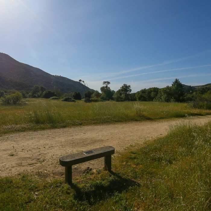 Near Lupine Loop Trail