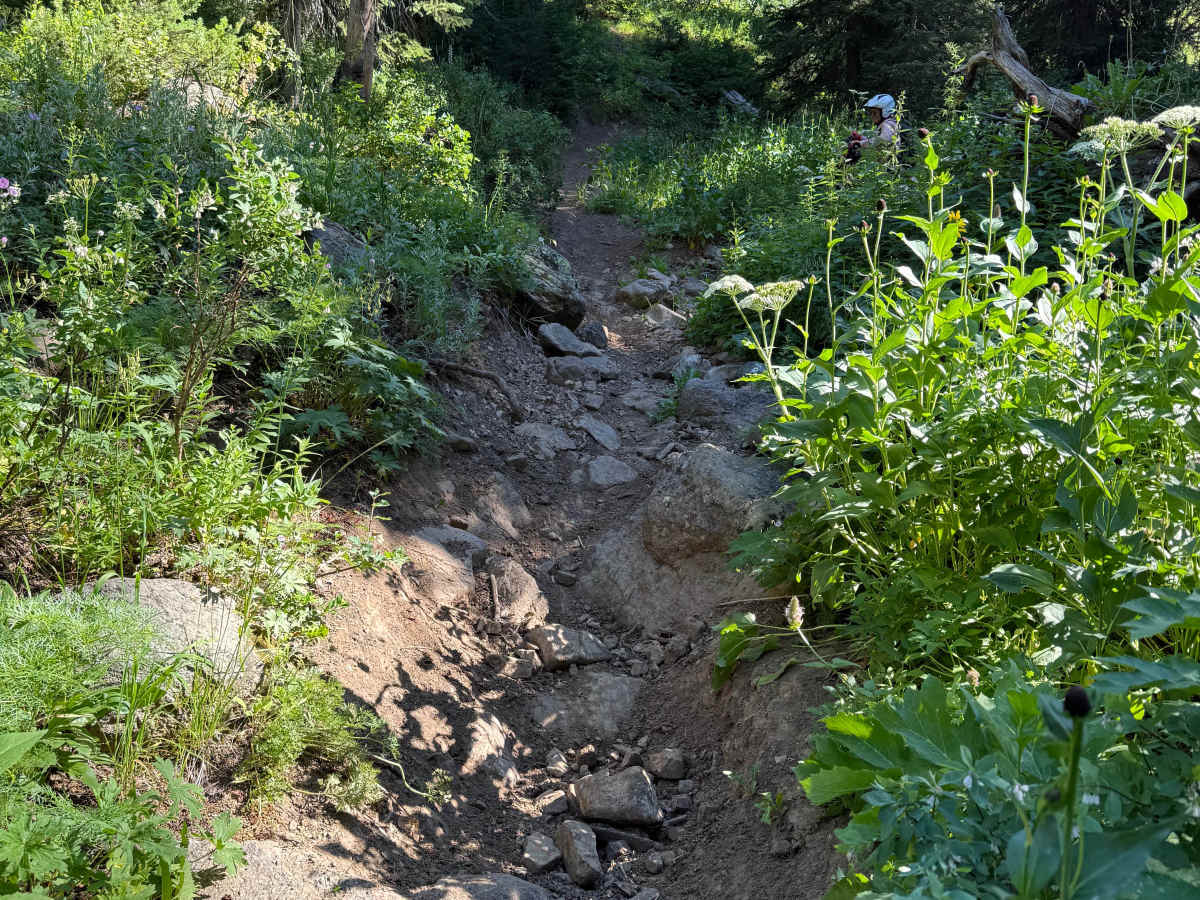 South Fork Canyon Creek - FS 226 photo 2