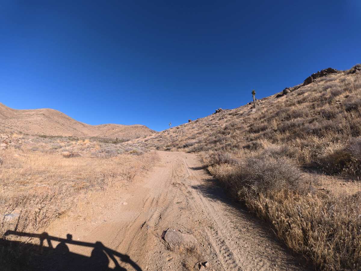 BLM SV2636 photo 5