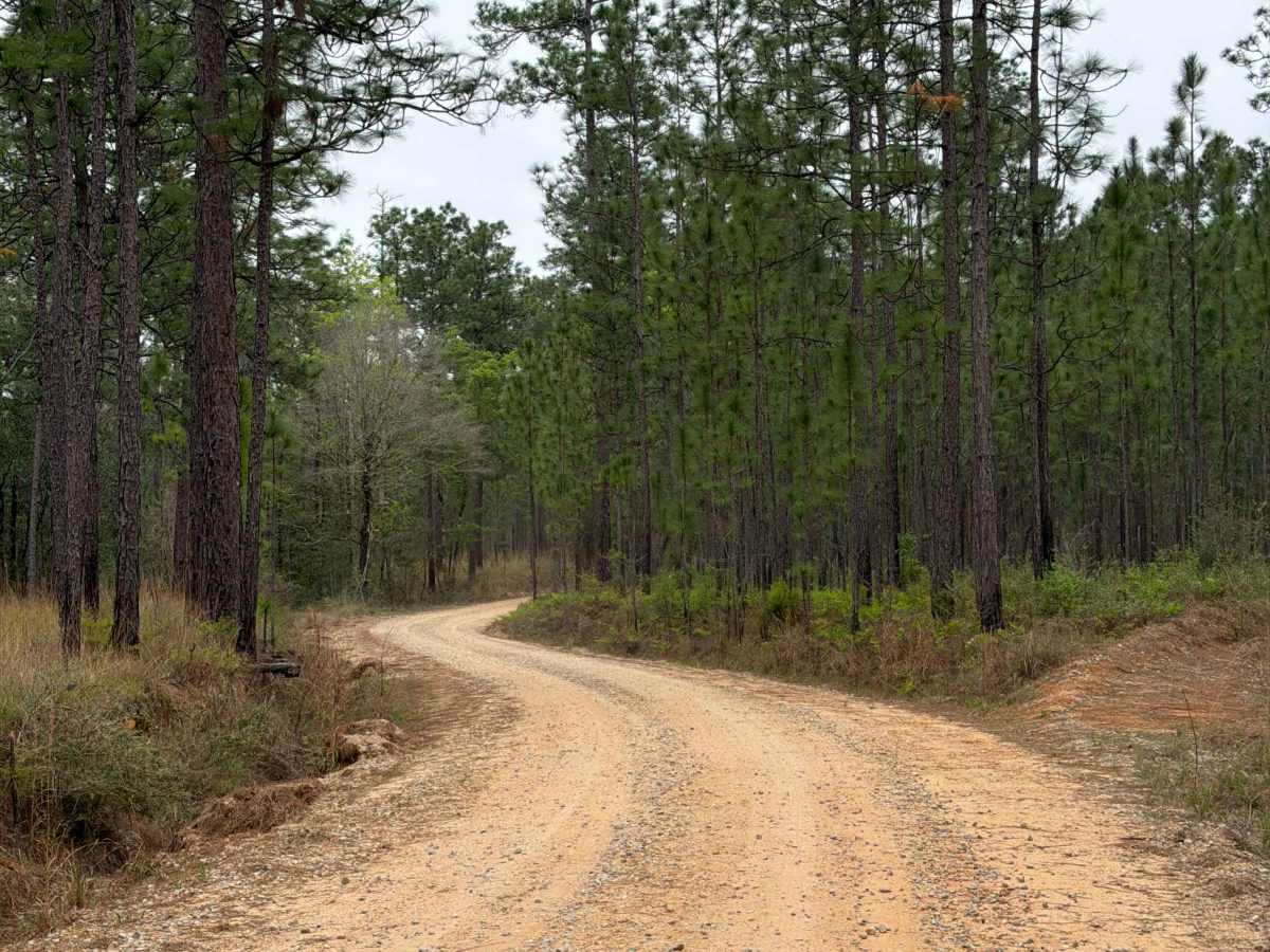 McDaniel Road photo 3