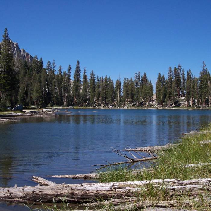 Near Silliman Pass Trail