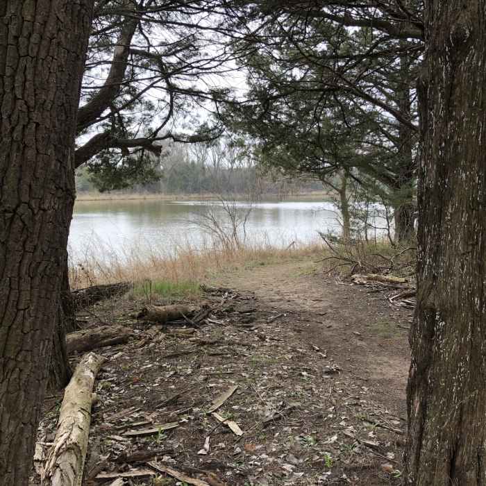 Near Community Building Trails