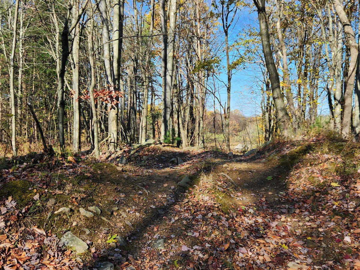 OHV 2 - Rock Run Recreation Area photo 2
