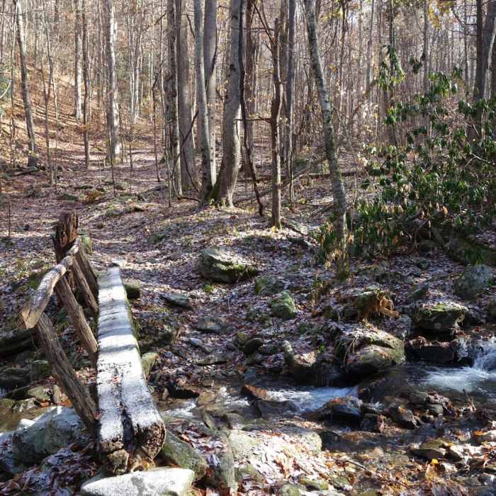 Near Spence Field Loop Near Spence Field Loop