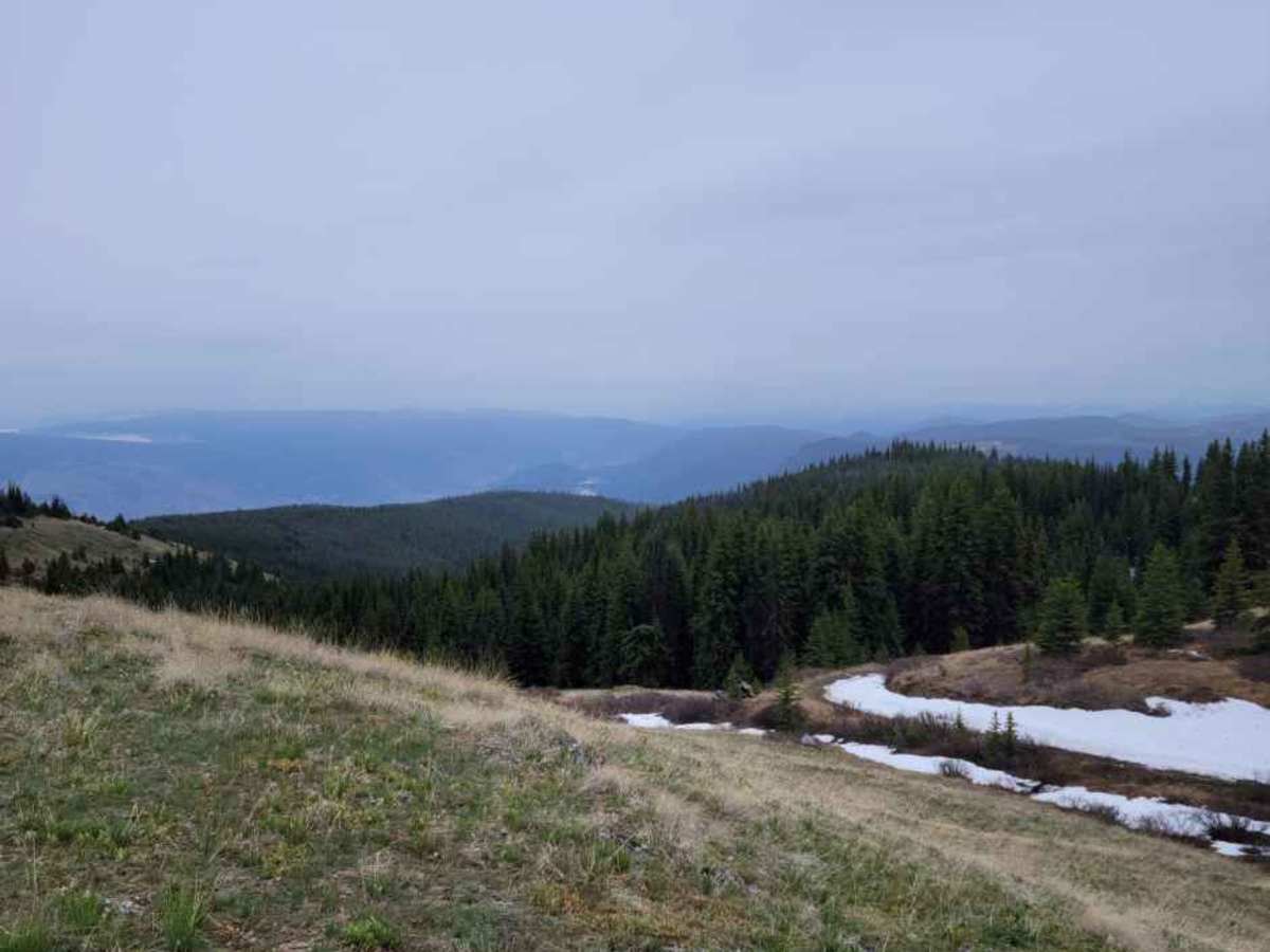 Cornwall Fire Lookout photo 5