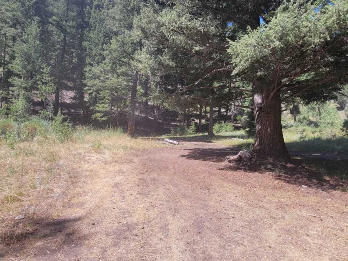 Warm Springs Creek Trail photo 4
