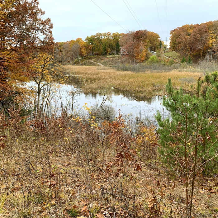 Lake view Near South Trail