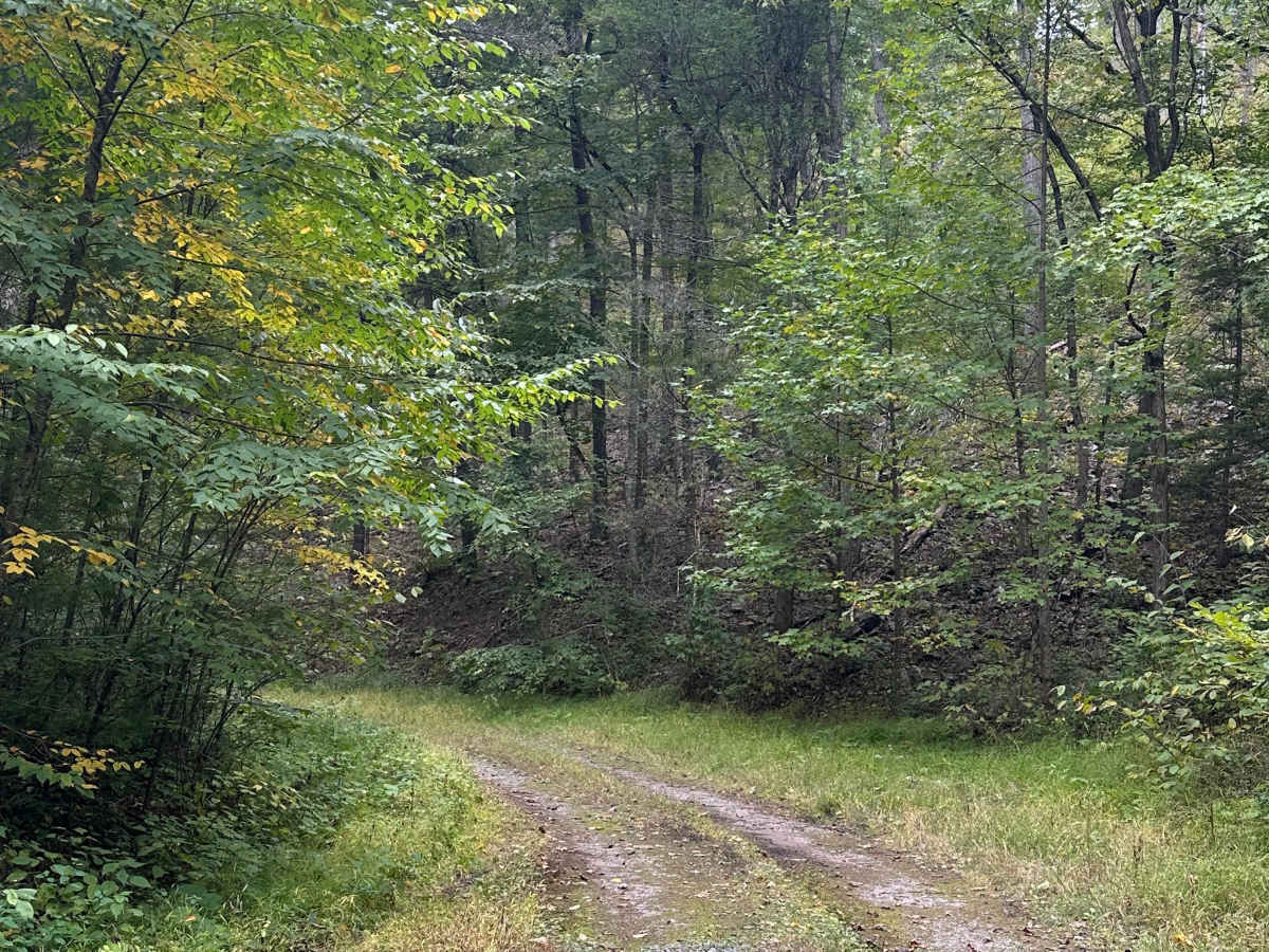 Brandywine Range photo 6