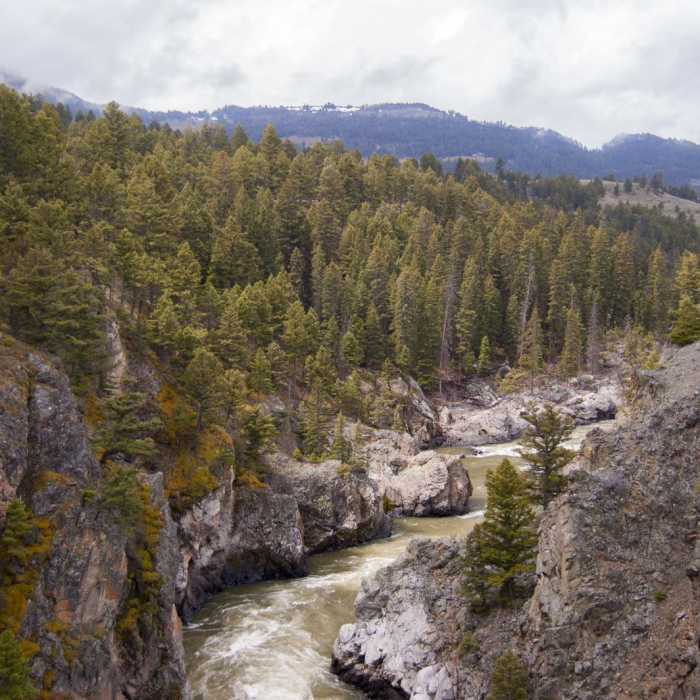 Near Coyote Creek Trail