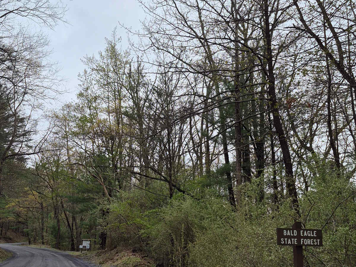 Siglerville-Millheim Pike photo 6