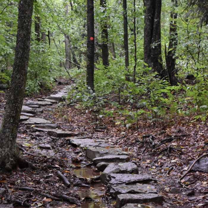 Near Devil's Path East