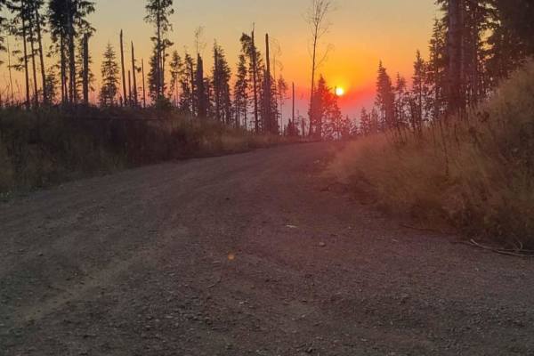 Osterman Cabin Trail