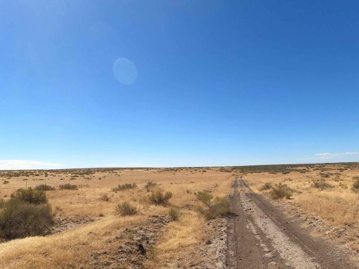 Iron Point Road photo 5