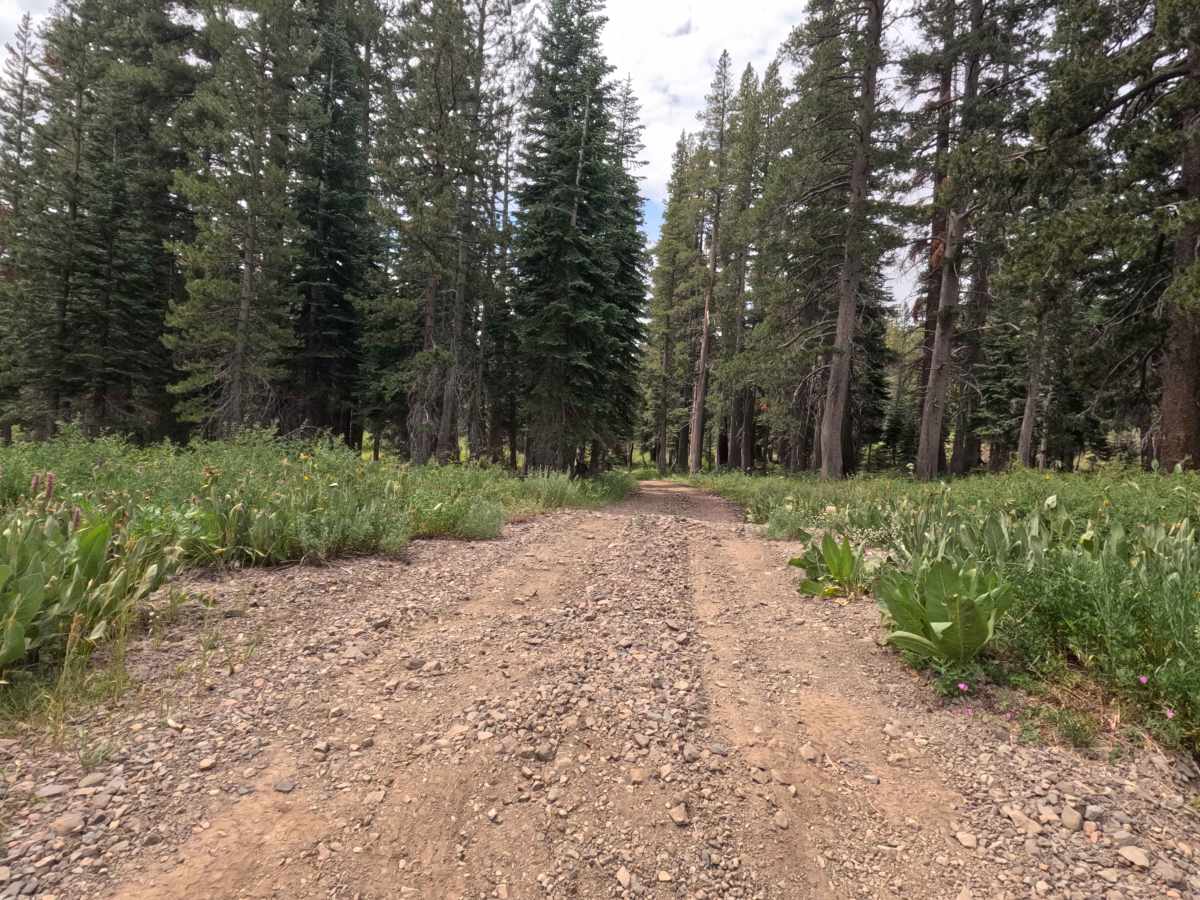 Upper Charity Rd - FS 31068 photo 6