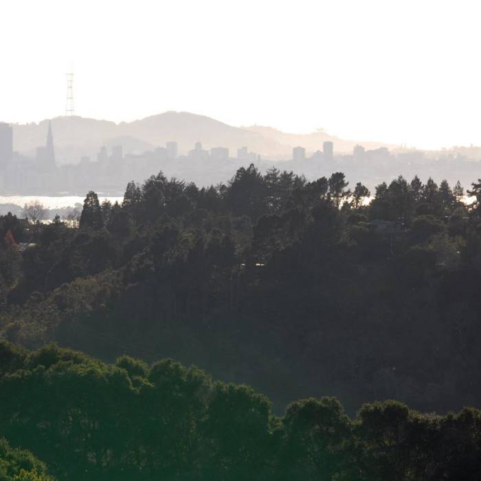 Near Nimitz Way Trail