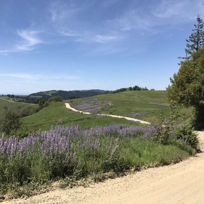 Near Coyote Creek Bike Trail