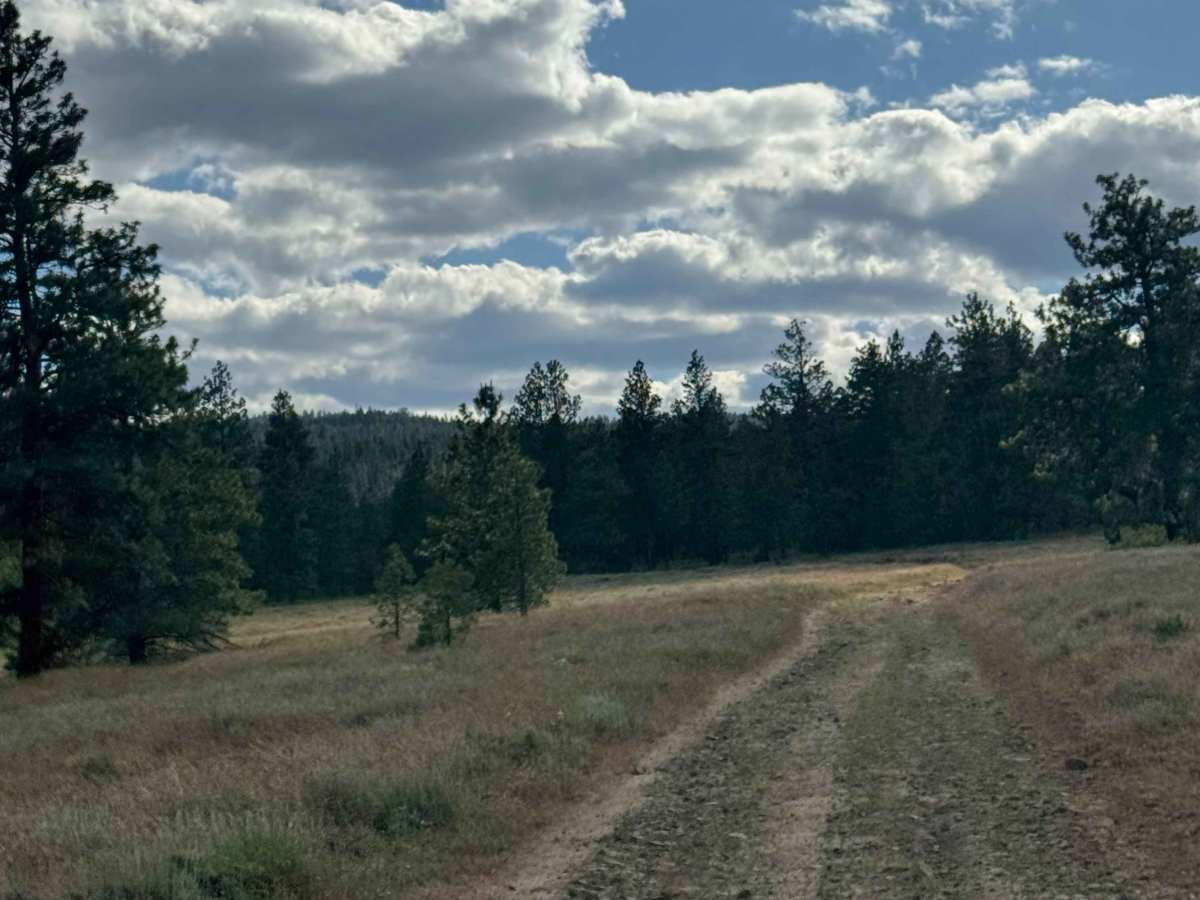 Mill Canyon Road photo 4