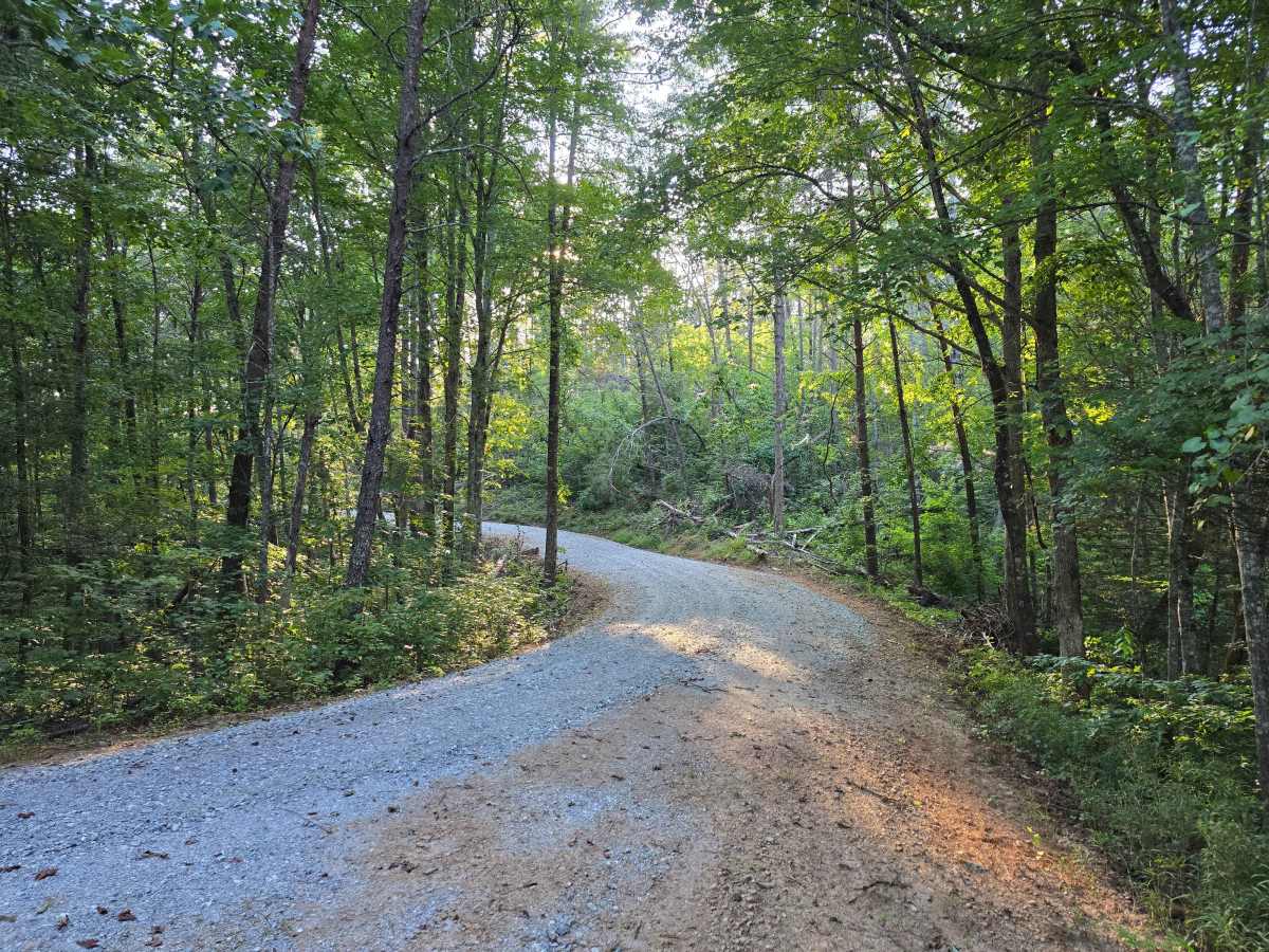 Persimmon Road - FS 741 photo 4