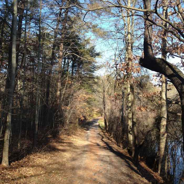 Nice wide trail around Shawnee Lake. Near Lake Shore Trail