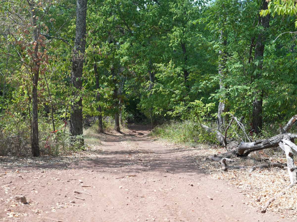 Blue 59 trail photo