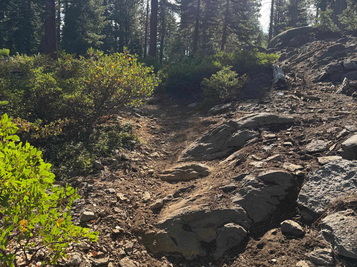 06 Moto Trail photo 2