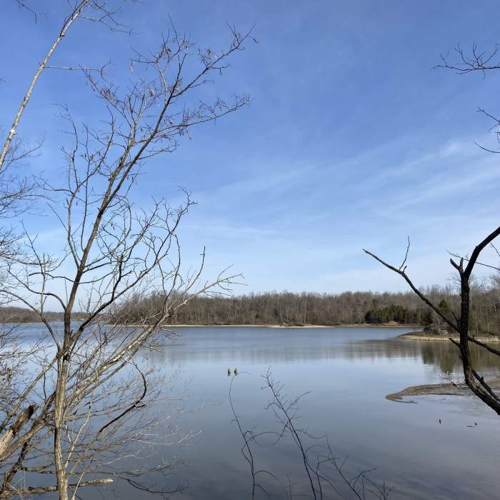 Near Ward Loop