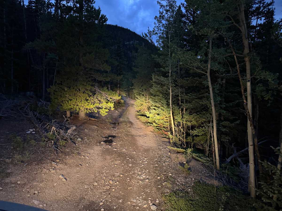 Paines Mountain Spur Road trail photo