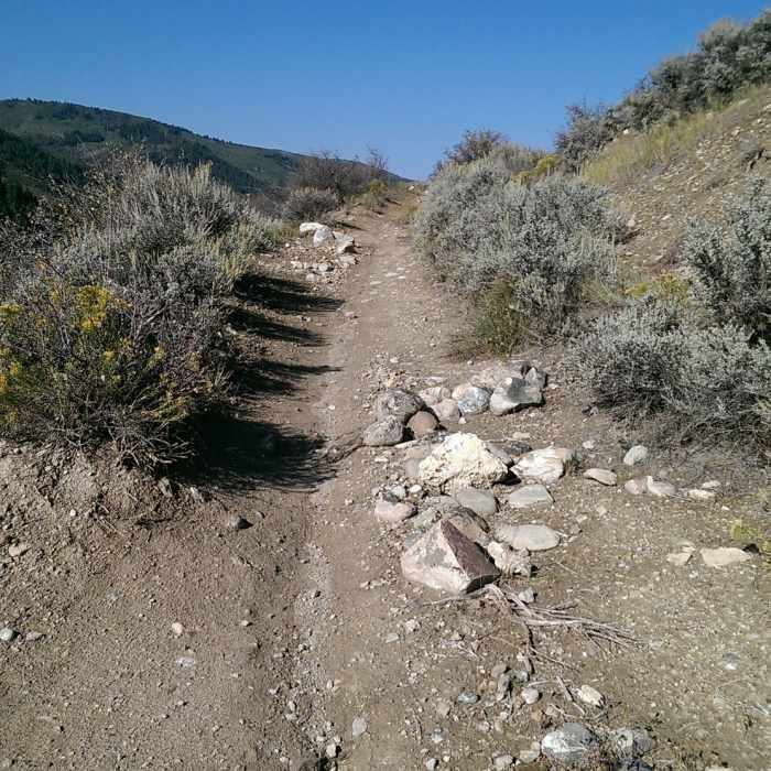Near Avon Singletree Connector (ASC)